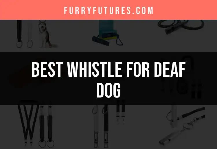 17 Best Whistles for Your Deaf Dog: Find the Perfect Fit