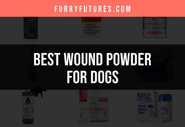17 Best Wound Powders for Dogs You Need to Know About