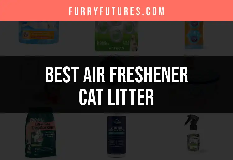 16 Best Air Freshener Cat Litters for a Fresh Home featured