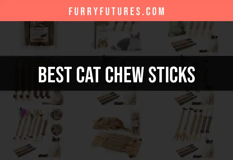 12 Must-Try Cat Chew Sticks for Happy Purrs featured