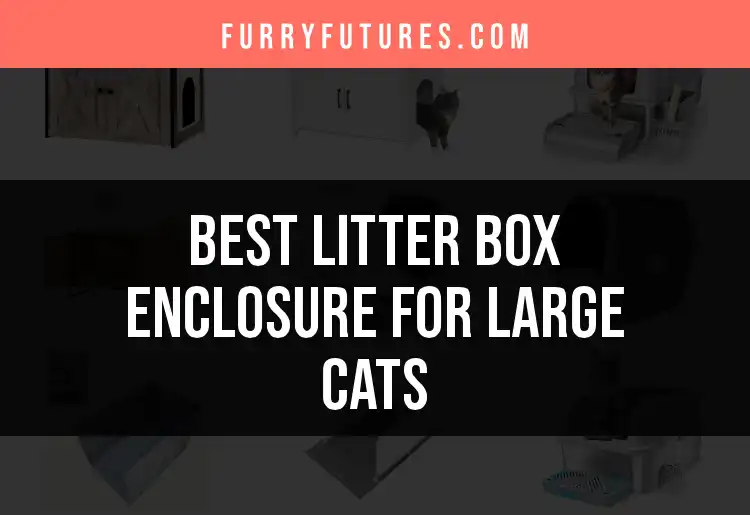 13 Best Litter Box Enclosures for Large Cats featured