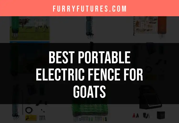 Top 10 Portable Electric Fences for Goats