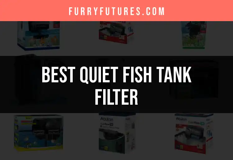 15 Quiet Fish Tank Filters for Peaceful Aquatic Living