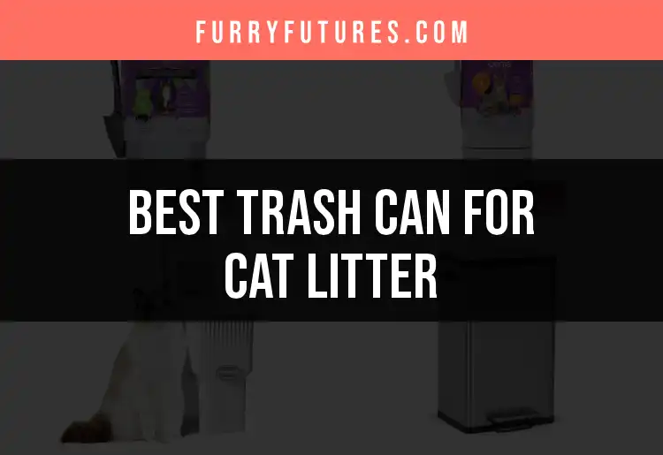 15 Best Trash Cans for Cat Litter: Keep Your Space Fresh featured
